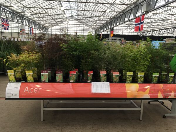 Acer display in the exhibitions halls 