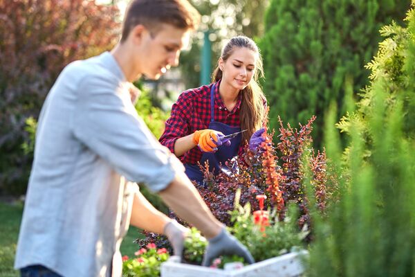 14% of 18- to 30-year-olds bought plants for the first time in their lives in 2020