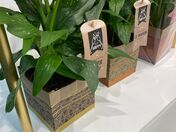 Sustainable packaging  